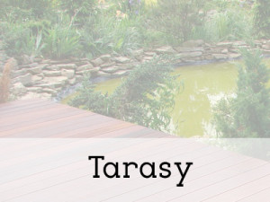 tarasy